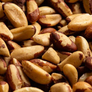 Coquitos/nueces de Brasil a granel